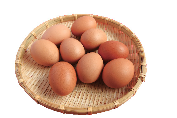 海地獄のグルメ