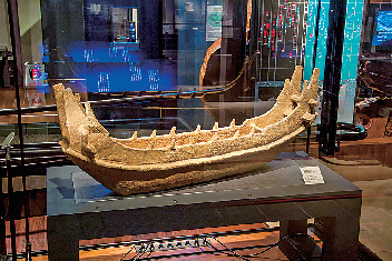 宮崎県立西都原考古博物館