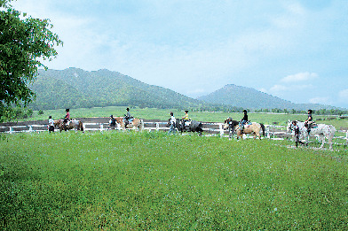 蒜山ホースパーク