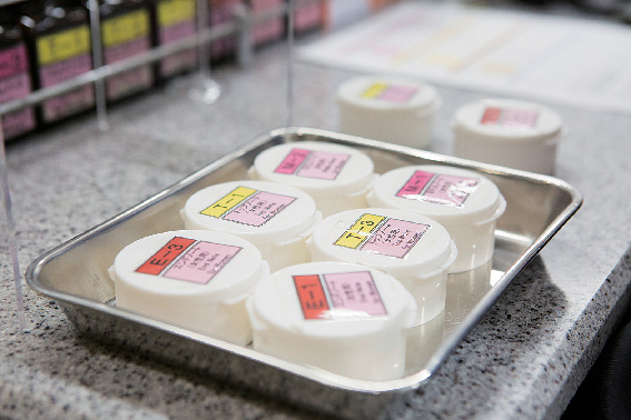 ココでしたいこと! 世界でひとつのマイ香水作り