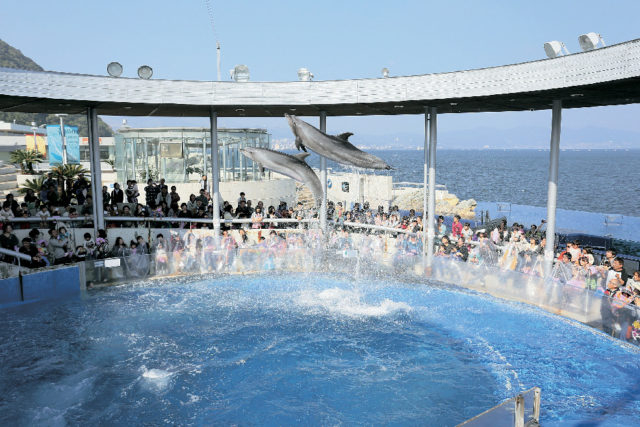 大分マリーンパレス水族館「うみたまご」