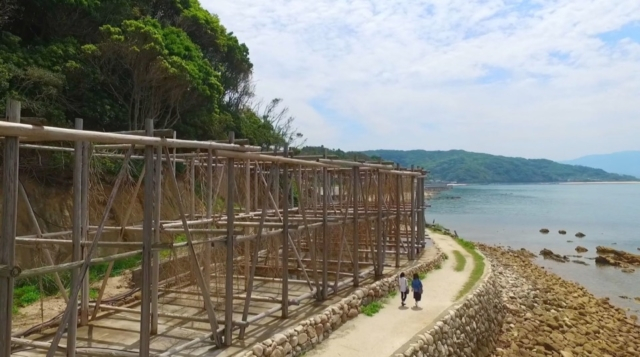 【糸島観光ドライブモデルコース】観光スポット③:お土産にぴったりの自然海塩「工房とったん」