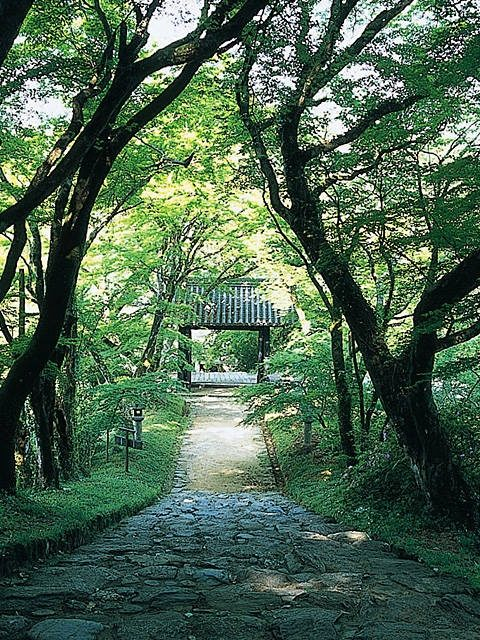 【福岡郊外】自然と歴史に彩られた山里の城下町「秋月」