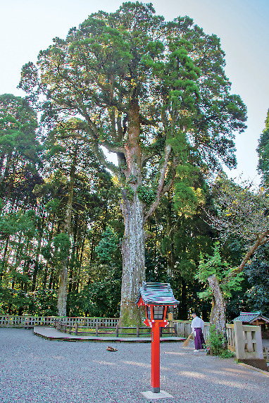 ここでパワーチャージ