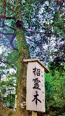 ここでパワーチャージ