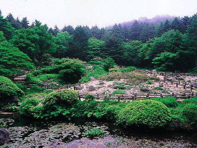 六甲山 おすすめ観光スポット⑥六甲高山植物園