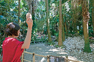 開運アクション