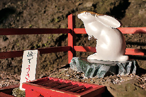 開運アクション