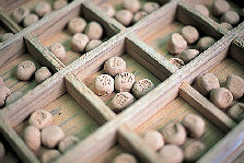 開運アクション