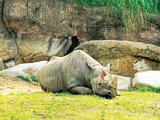 天王寺動物園はこんなところ