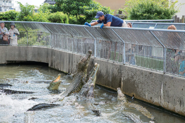 鬼山地獄のワニは必見!