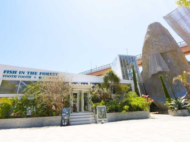 FISH IN THE FOREST 〜TOOTH TOOTH x そら植物園〜