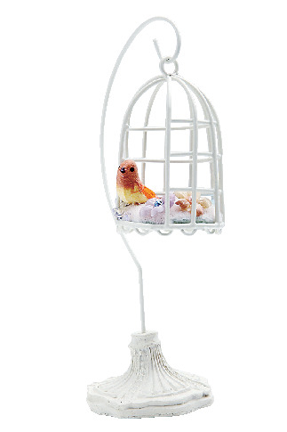 【大阪 堀江の雑貨×セレクトSHOP】シャムア