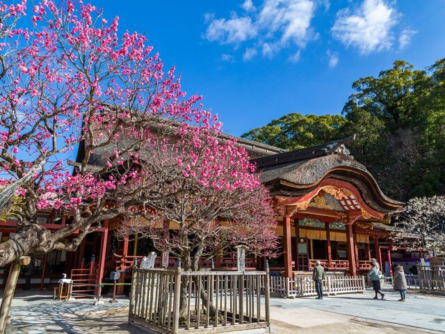 太宰府天満宮の参拝コース4 御本殿に向かって二拝二拍手、祈願、一拝