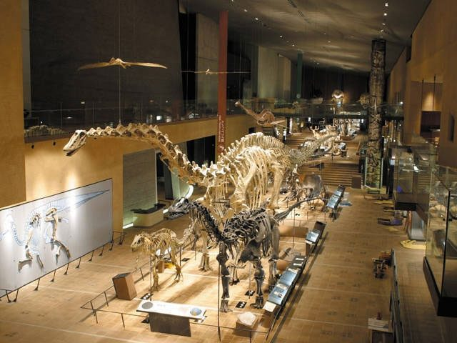 いのちのたび博物館(北九州市立自然史・歴史博物館)