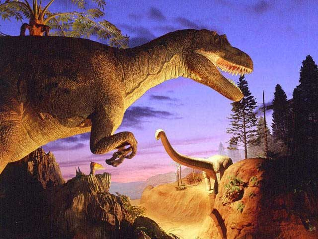 いのちのたび博物館(北九州市立自然史・歴史博物館)