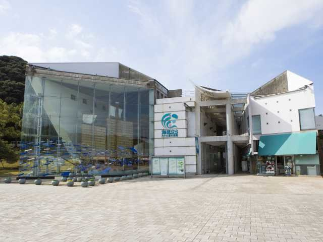 九十九島水族館海きらら