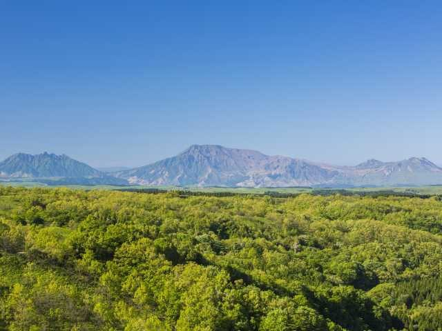 【くじゅう×ドライブ】瀬の本高原