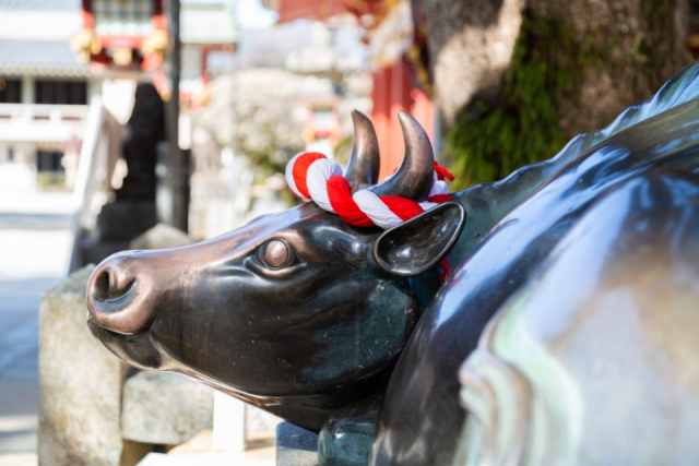 御神牛をなでてご利益を授かろう