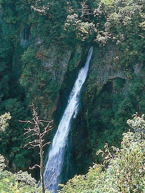 【大分・宇佐観光×絶景】落差86mの大スケールの名瀑「西椎屋の滝」