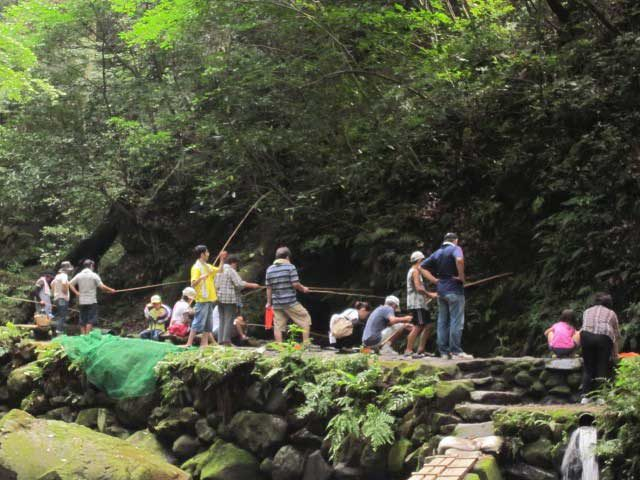 奥霧島 皇子原公園キャンプ場