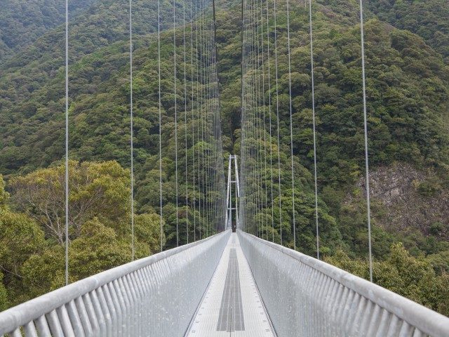 綾の照葉大吊橋