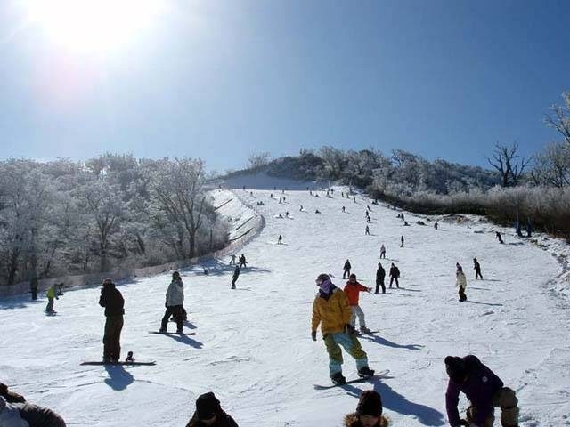 【五ヶ瀬の観光ナビ】五ヶ瀬ハイランドスキー場