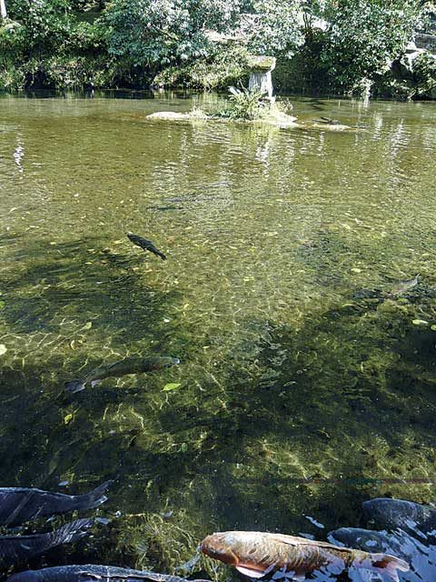高千穂峡貸しボート