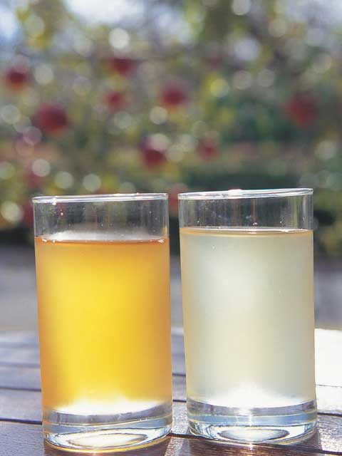 生駒高原りんご園