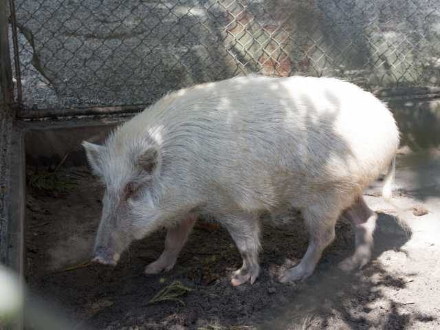 【こちらもオススメ!ネイチャー&スピリチュアルスポット】和氣神社