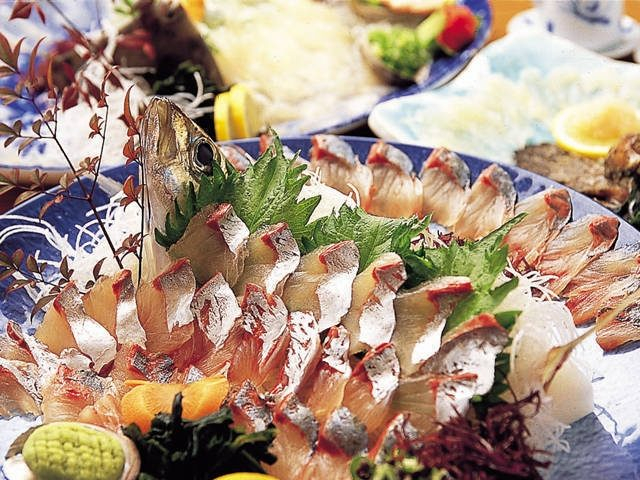 魚将 さかなちゃん