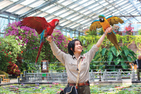 神戸どうぶつ王国