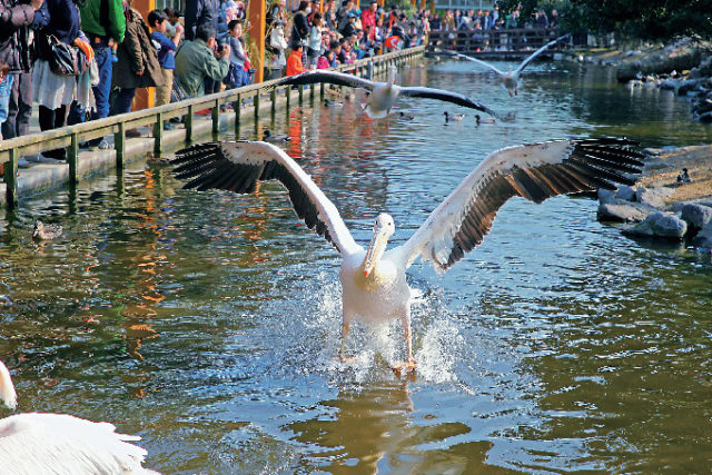 神戸どうぶつ王国