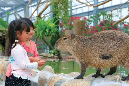 神戸どうぶつ王国