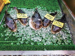 黒門市場はこんなところ