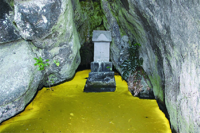 【千葉・鋸山周辺×観光】黄金色に輝く国の天然記念物「竹岡のヒカリモ」