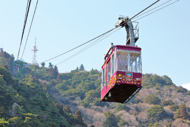 バス・ケーブル・ロープウェイでのACCESS