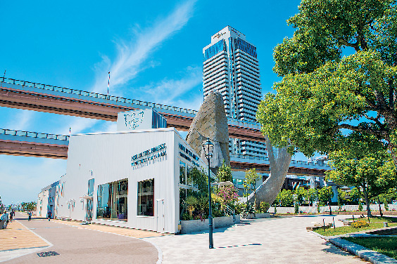 TOOTH TOOTH FISH IN THE FOREST〜TOOTH TOOTH ×そら植物園