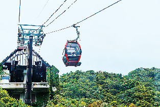 5.ひと足のばして神戸布引ハーブ園へ