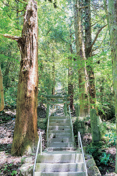 【国東半島×観光】石段の難所を上るとあらわれる巨大磨崖仏「熊野磨崖仏」