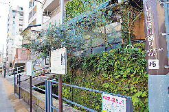 眼鏡橋&寺町をめぐるおさんぽのコツ