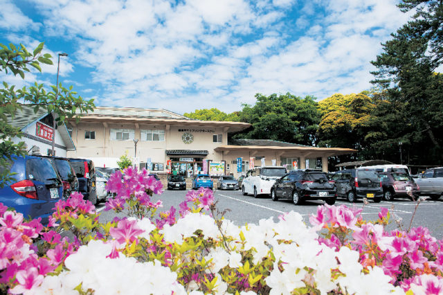 道の駅 くにさき