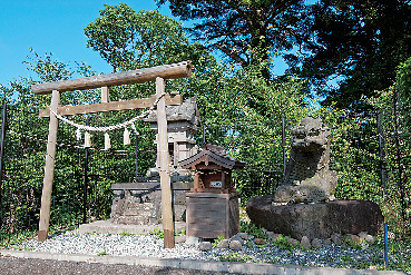 【くじゅう×ドライブ】九重“夢”大吊橋