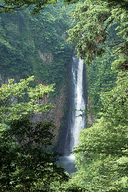 【くじゅう×ドライブ】九重“夢”大吊橋