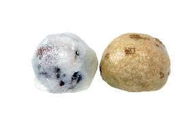 松山堂の「和菓子」