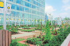 大阪ステーションシティのここがスゴイ!