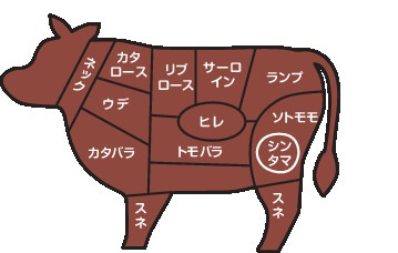 【焼肉コラム】肉の部位知ってる??