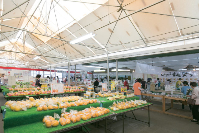 その他の施設も充実