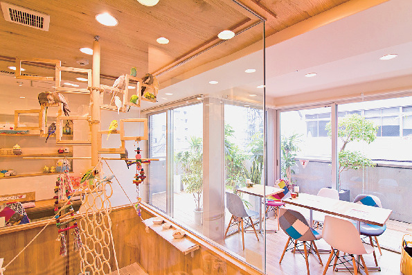 【心斎橋×カフェ】ことりスマイル