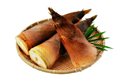 たけゆらの里おおたきのおすすめお土産